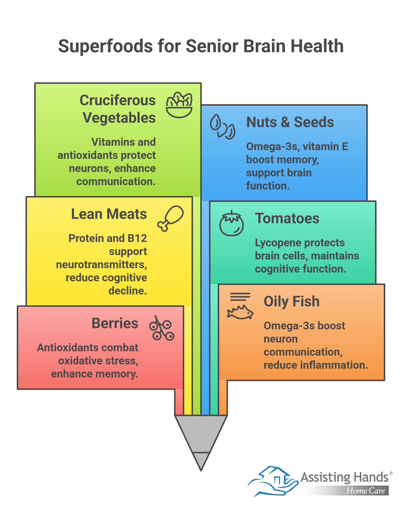 12 Superfoods for Enhancing Brain Health in Elderly People