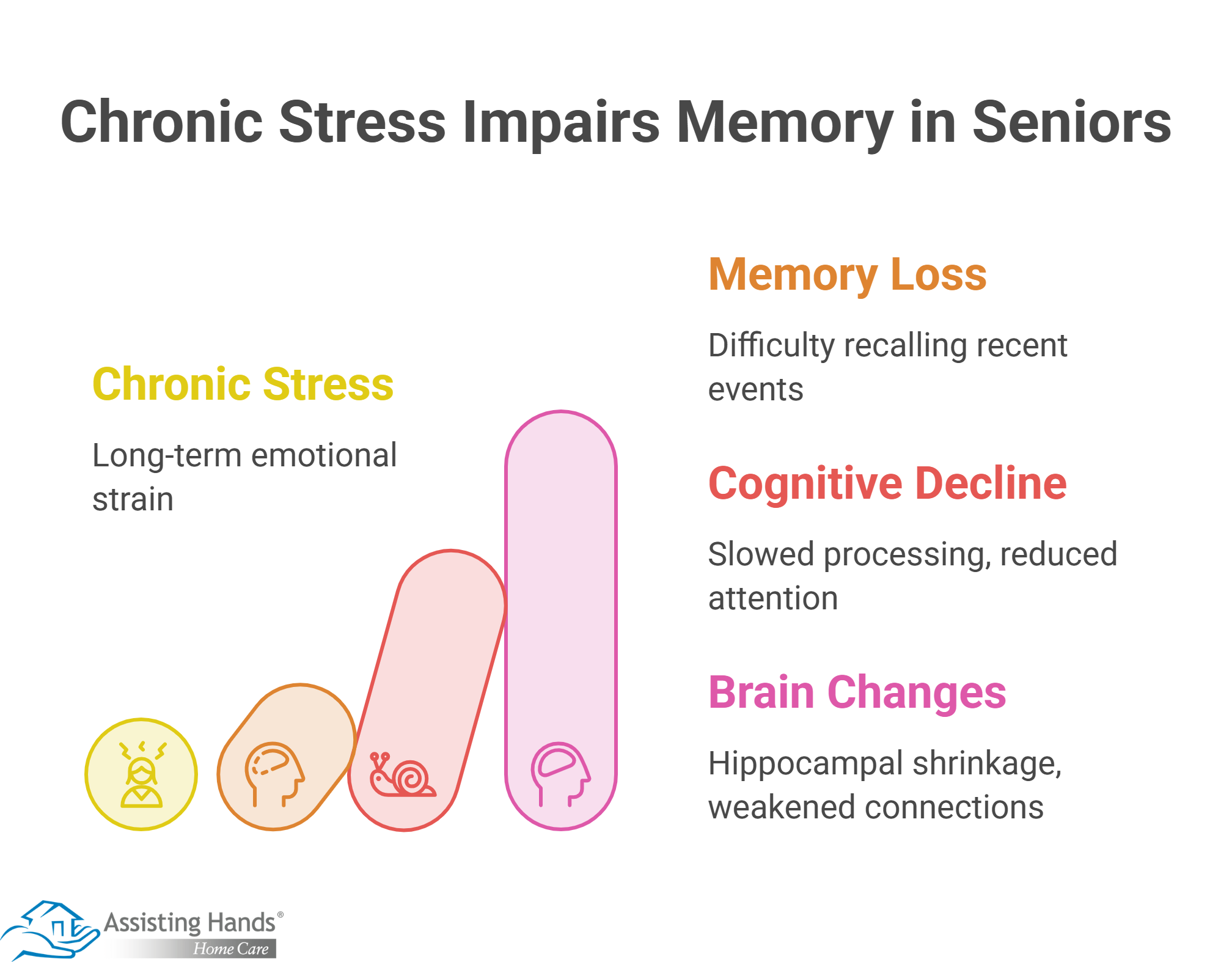 The Link Between Stress and Memory Loss in Older Adults